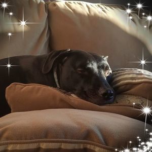 Meet your Posher, Kim-ellen